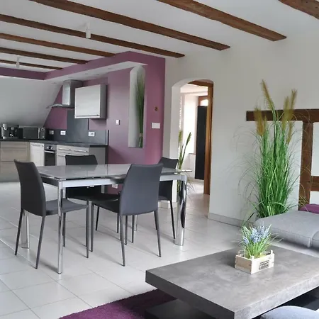 Chez Alice - Alsace Piscine Jacuzzi Semesterbostad *