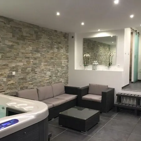 Chez Alice - Alsace Piscine Jacuzzi * Neuve-Eglise
